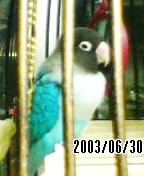 【コッコです030630_1941~01.jpg.】【容量9249】