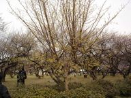 yDSC00354-2.jpgzy192w144zye10125z