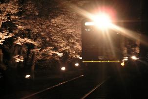 【桜電車koko.JPG】【幅303X高さ202】【容量24318】